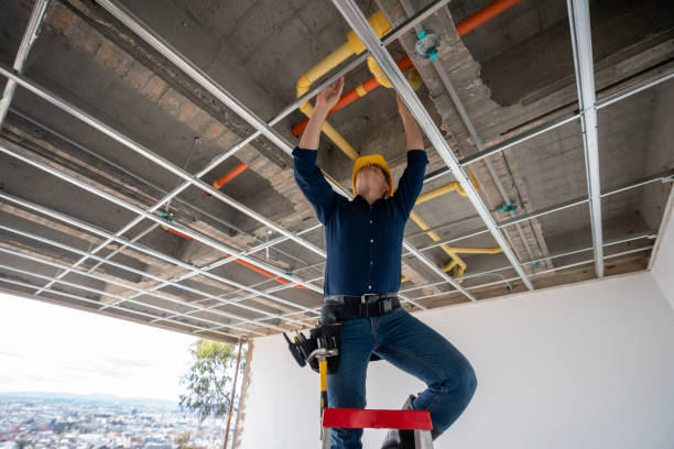 Best Affordable Plumbing Services  in Pingree Grove, IL