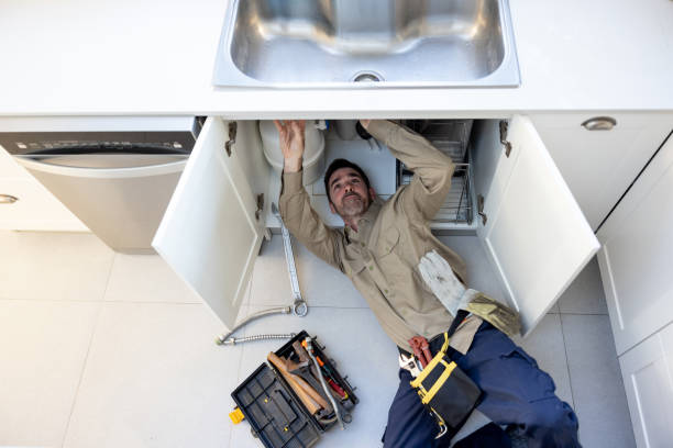 Best Toilet Repair Services  in Pingree Grove, IL