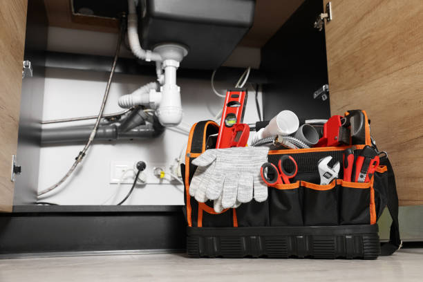 Best Shower Repair Services  in Pingree Grove, IL