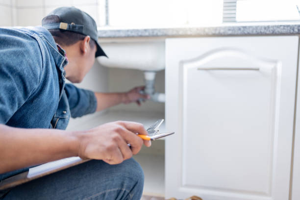 Best Plumbing Services Near Me  in Pingree Grove, IL