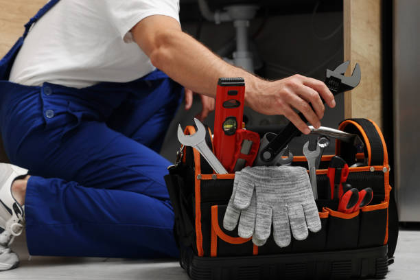 Best Leak Detection Services  in Pingree Grove, IL