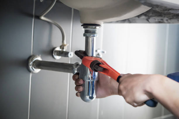 Best Local Plumber Services  in Pingree Grove, IL