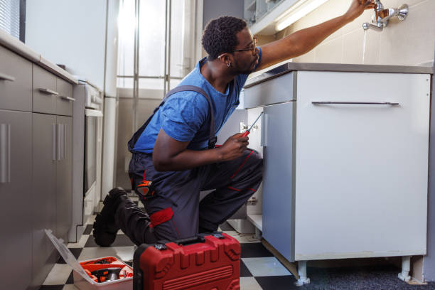  Pingree Grove, IL Plumbing Pros