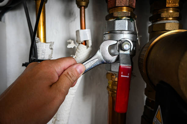 Best Sprinkler Systems  in Pingree Grove, IL